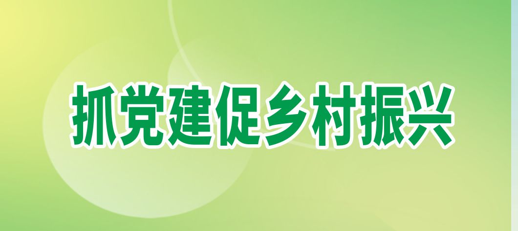 抓黨建促鄉村振興